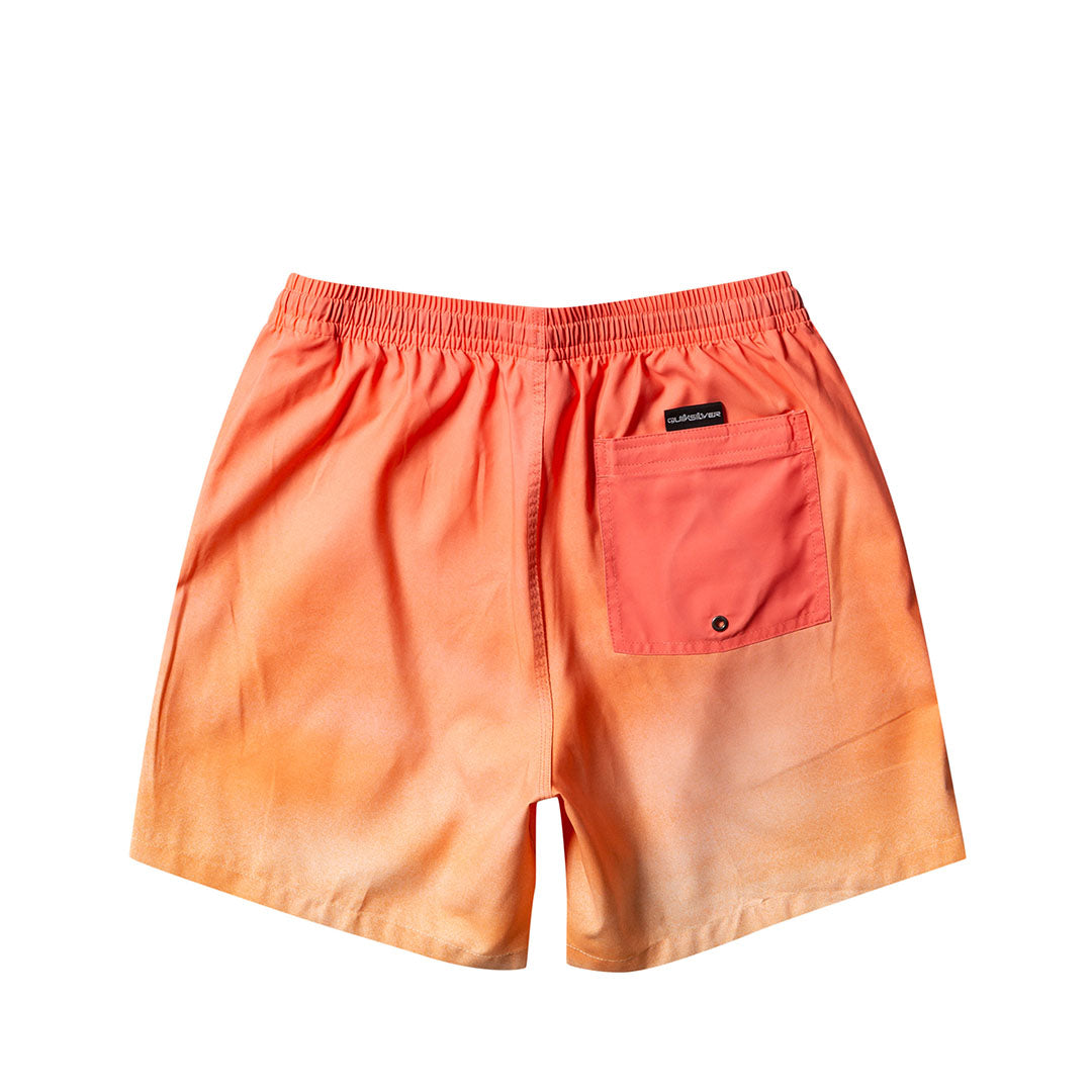 QUIKSILVER Everyday Men's Volley Short 17"