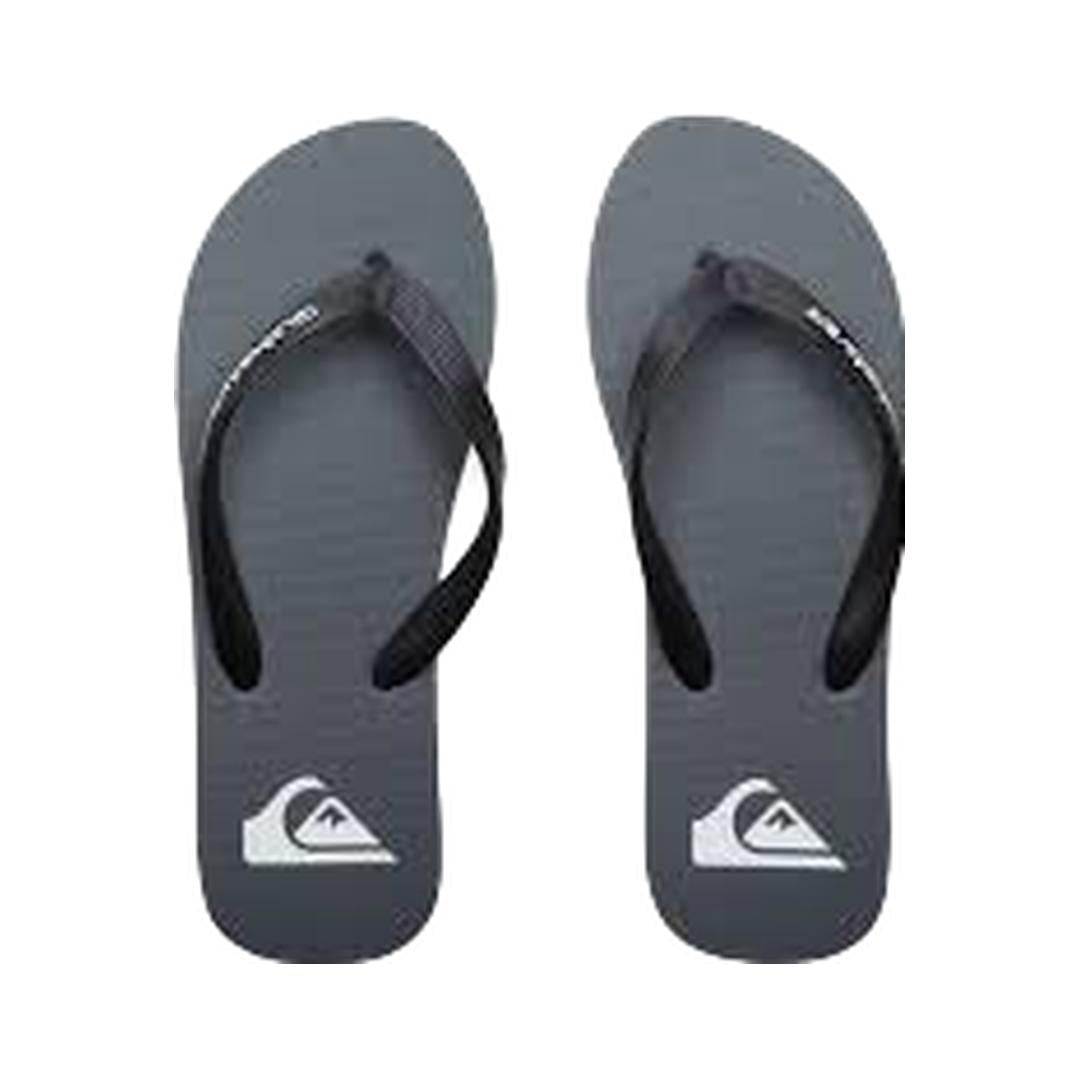 QUIKSILVER Molokai Core Thongs