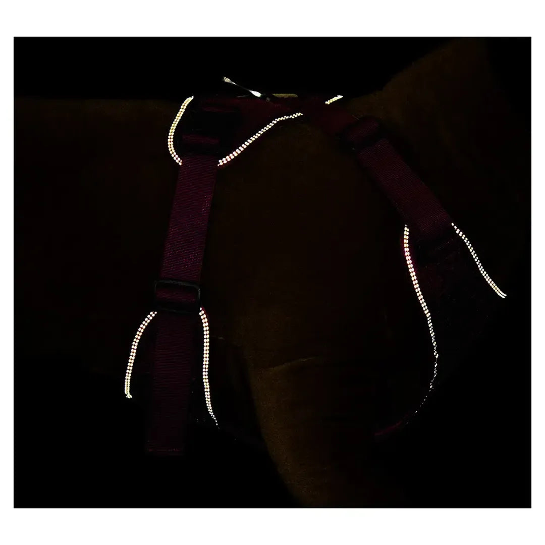 Harness