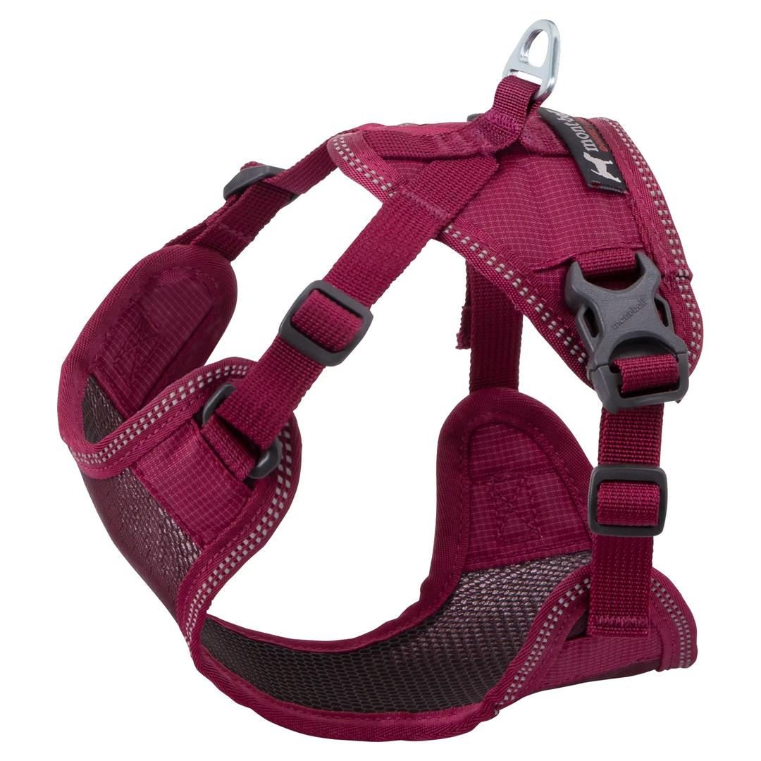 Harness