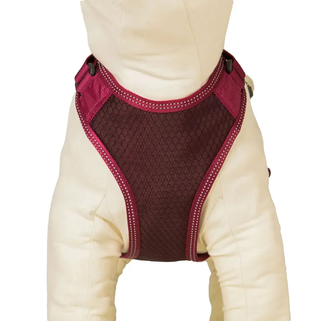 Harness