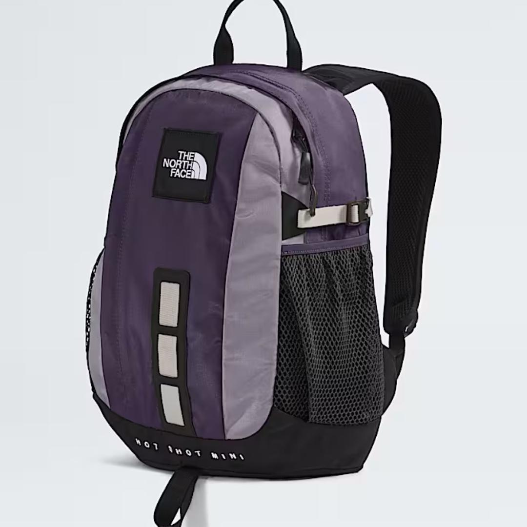 THE NORTH FACE Hot Shot Mini Backpack