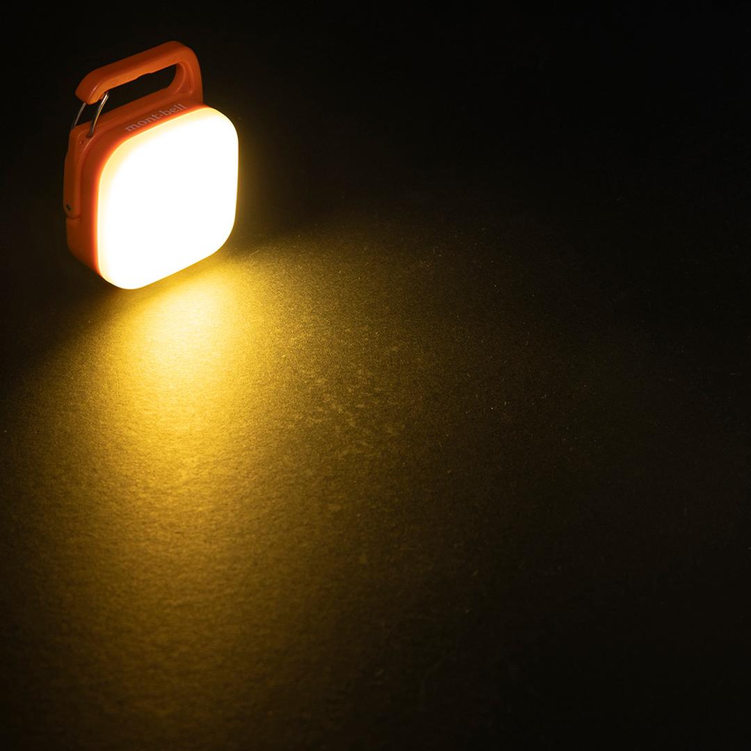 7752140748_04.jpg