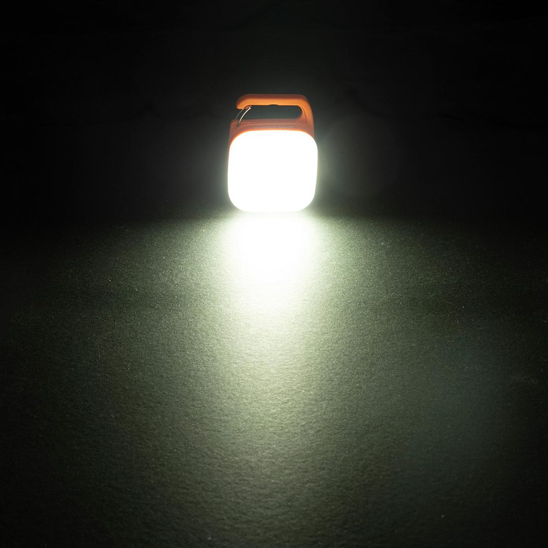 7752140748_05.jpg