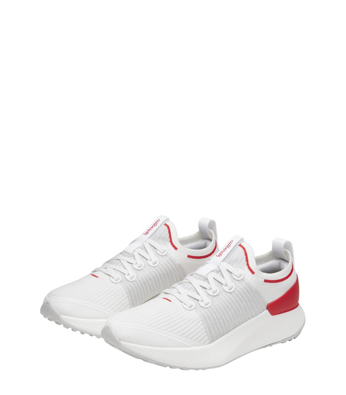 Women's Tree Glider Shoes Allbirds PH