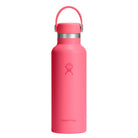 HYDRO FLASK HYDRO FLASK 18OZ STANDARD FLEX CAP POPSTAR PINK