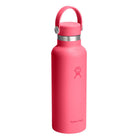 HYDRO FLASK HYDRO FLASK 18OZ STANDARD FLEX CAP POPSTAR PINK