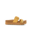 REEF Cshn Vista Hi Slides