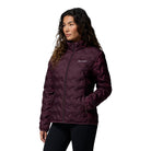 COLUMBIA SPORTSWEAR Delta Ridge Ii Dwn Jkt Puffer Jacket