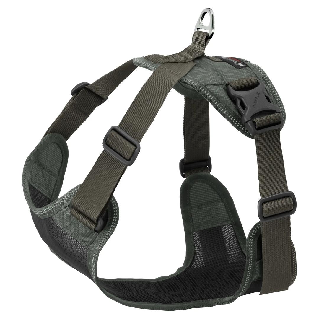 Harness