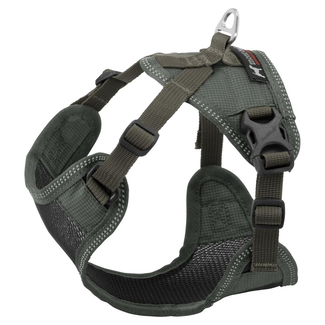 Harness
