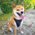 MONTBELL Mesh Dog Harness S Carrier/Harness