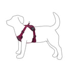 MONTBELL Mesh Dog Harness L Carrier/Harness