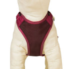 MONTBELL Mesh Dog Harness L Carrier/Harness