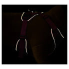 MONTBELL Mesh Dog Harness L Carrier/Harness